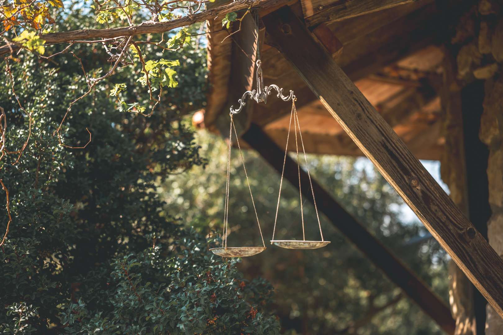 יפתח גפן | המנגנון הייחודי